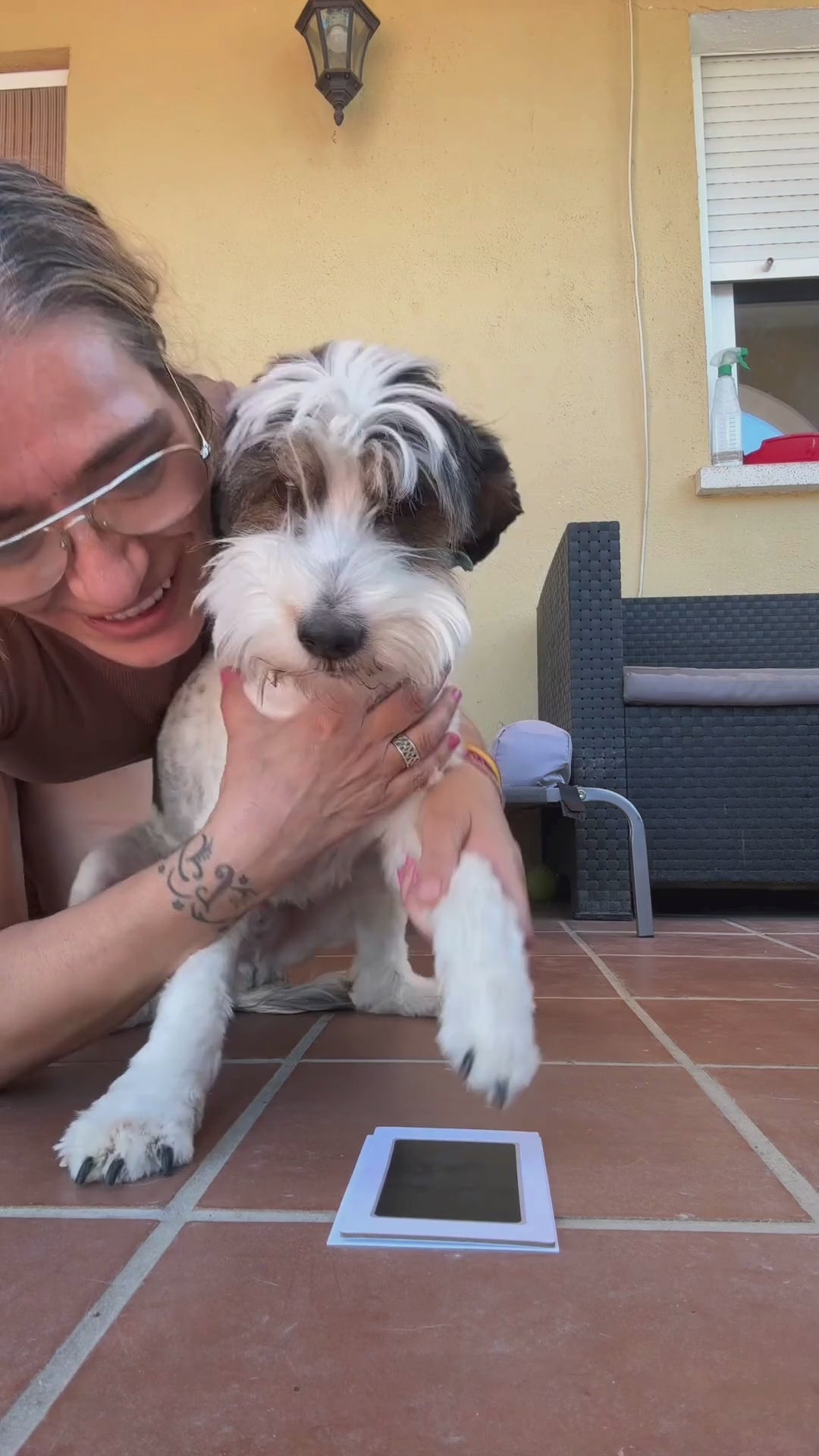 Cargar video: 